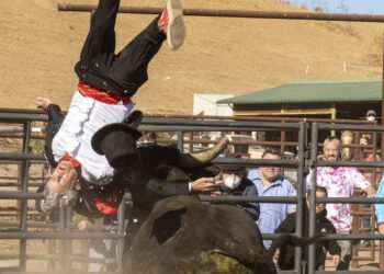 Jackass Forever – neki ljudi nikada ne nauče