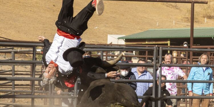 Jackass Forever – neki ljudi nikada ne nauče